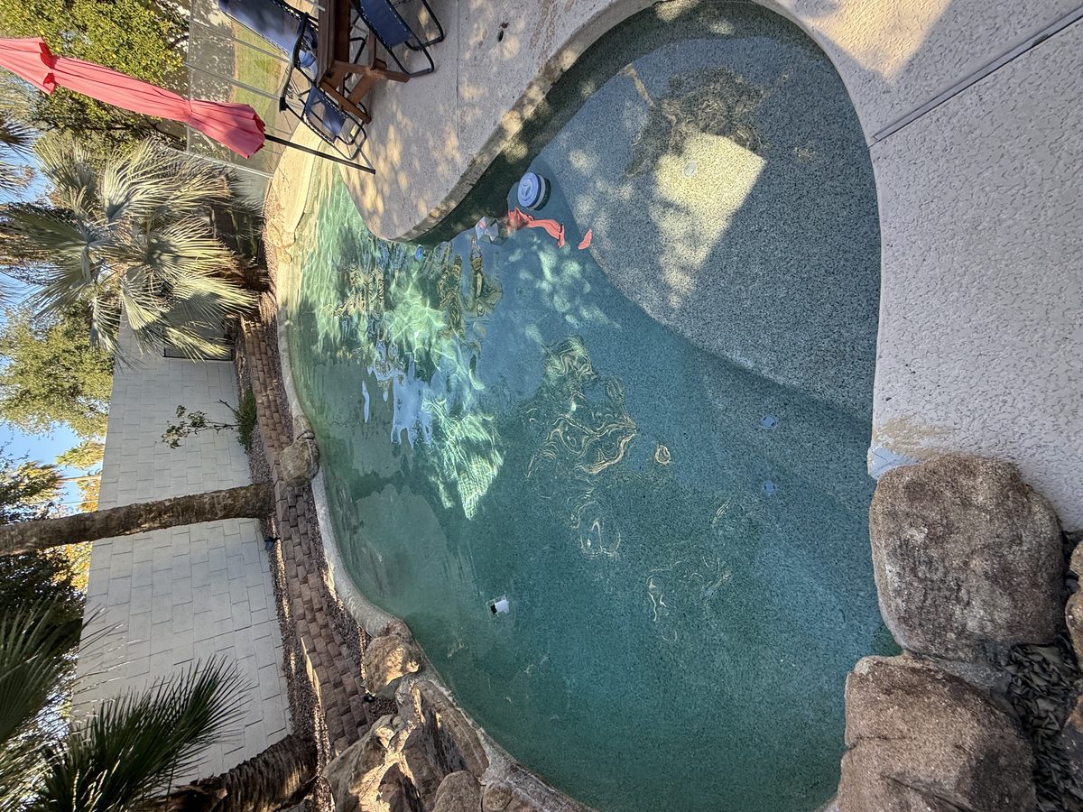 Backyard pool during chemical deep cleaning service